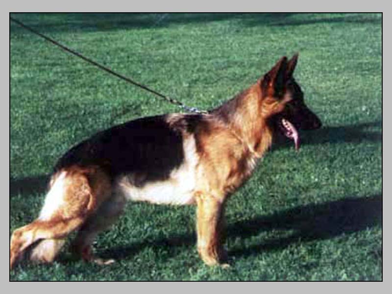 Sailer vom Steffen Haus