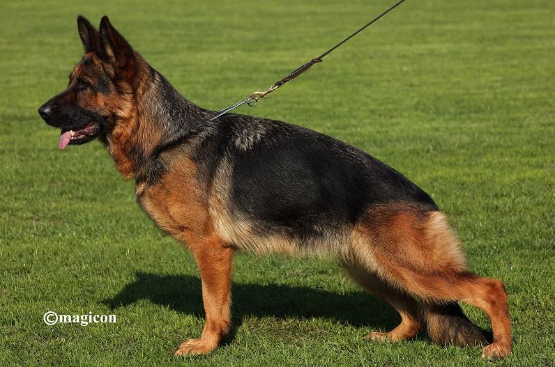 Susie von der Bärenschlucht