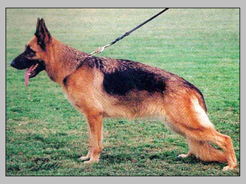 Fila vom Elizabeth Klause