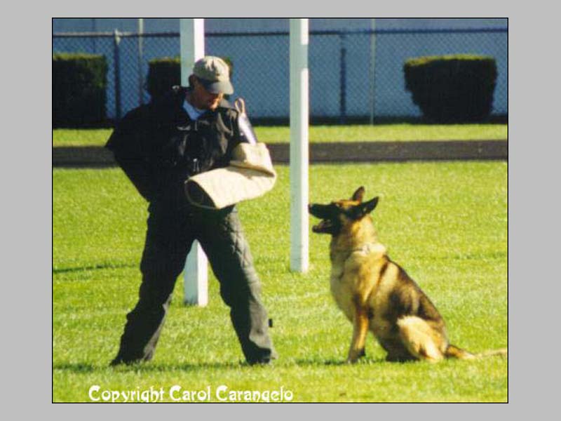 Eso z Ivanciny zahrady