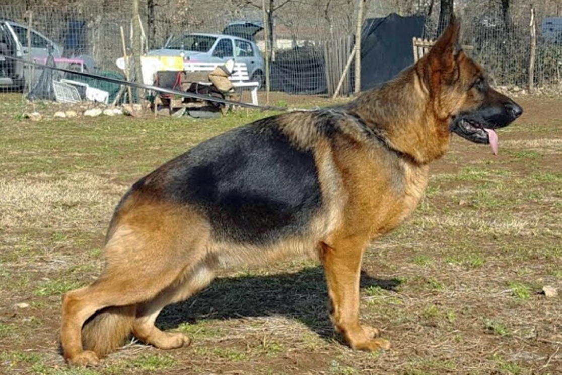 Belen di Chiara Sorgente