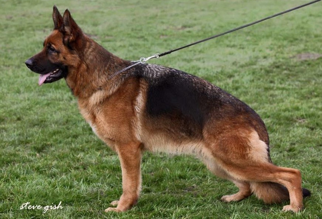 Ilena du Val D'Anzin