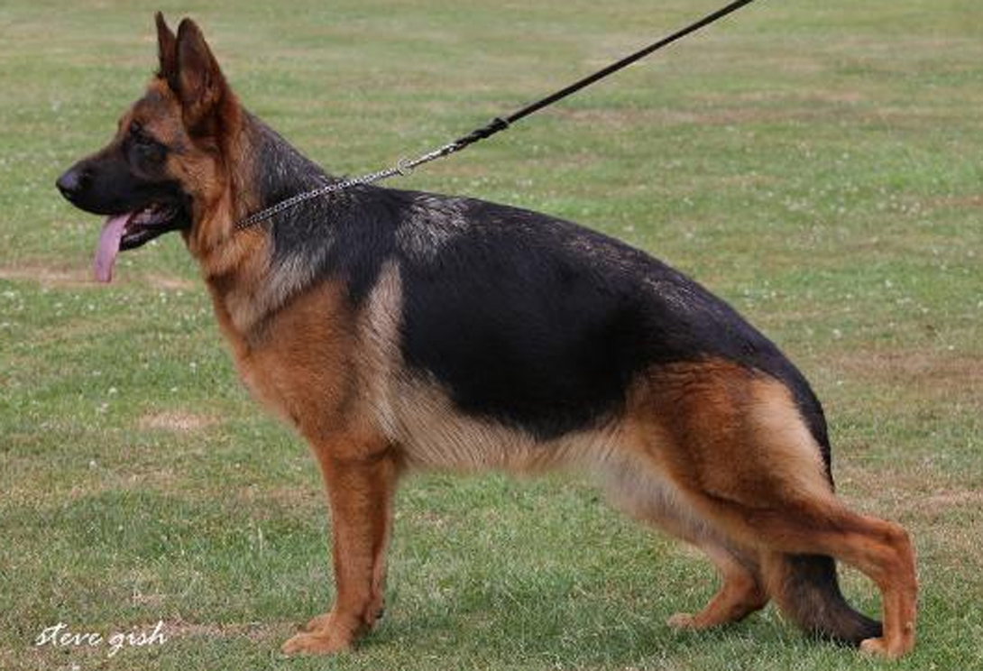 Asla aus Famke's Zauberwald