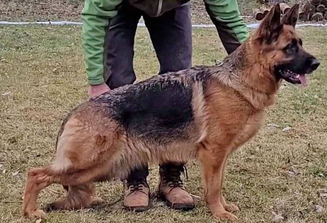 Udet vom Türkenkopf