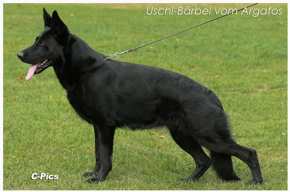 Uschi-BÃ¤rbel vom Argatos