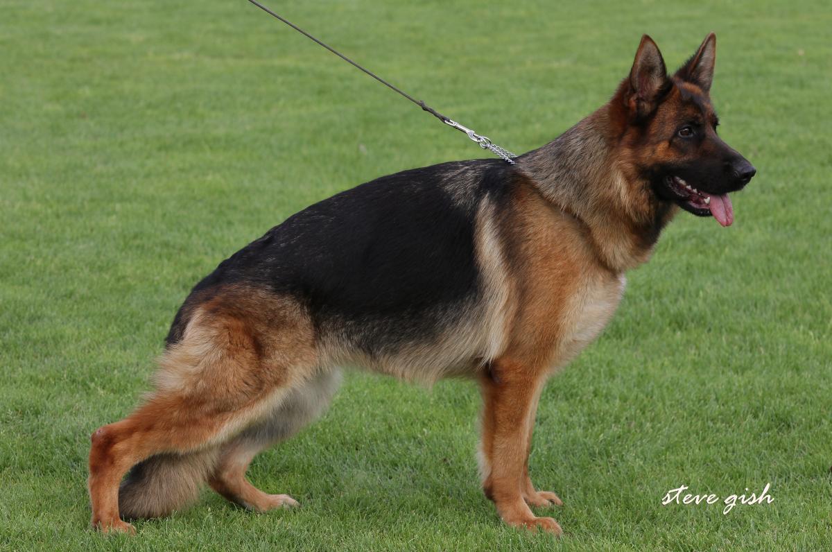 Aike Team Gigelsfelsen