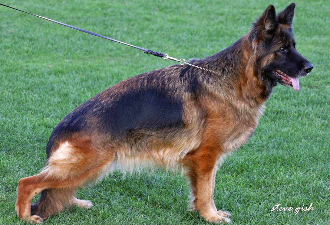 Ang vom Blasius-Haus