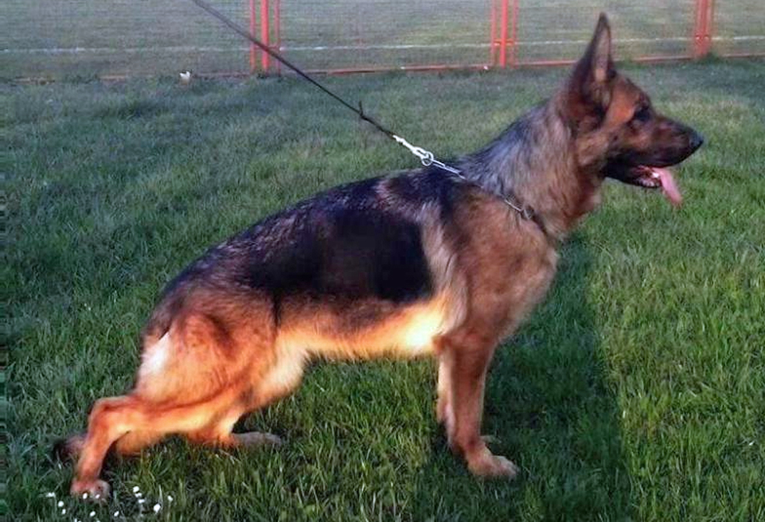 Angel  Team Gigelsfelsen