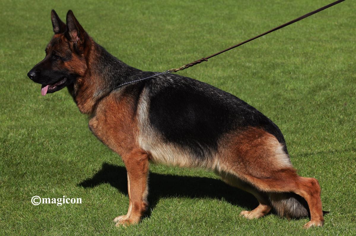 Aska vom Team HÃ¼hnegrab