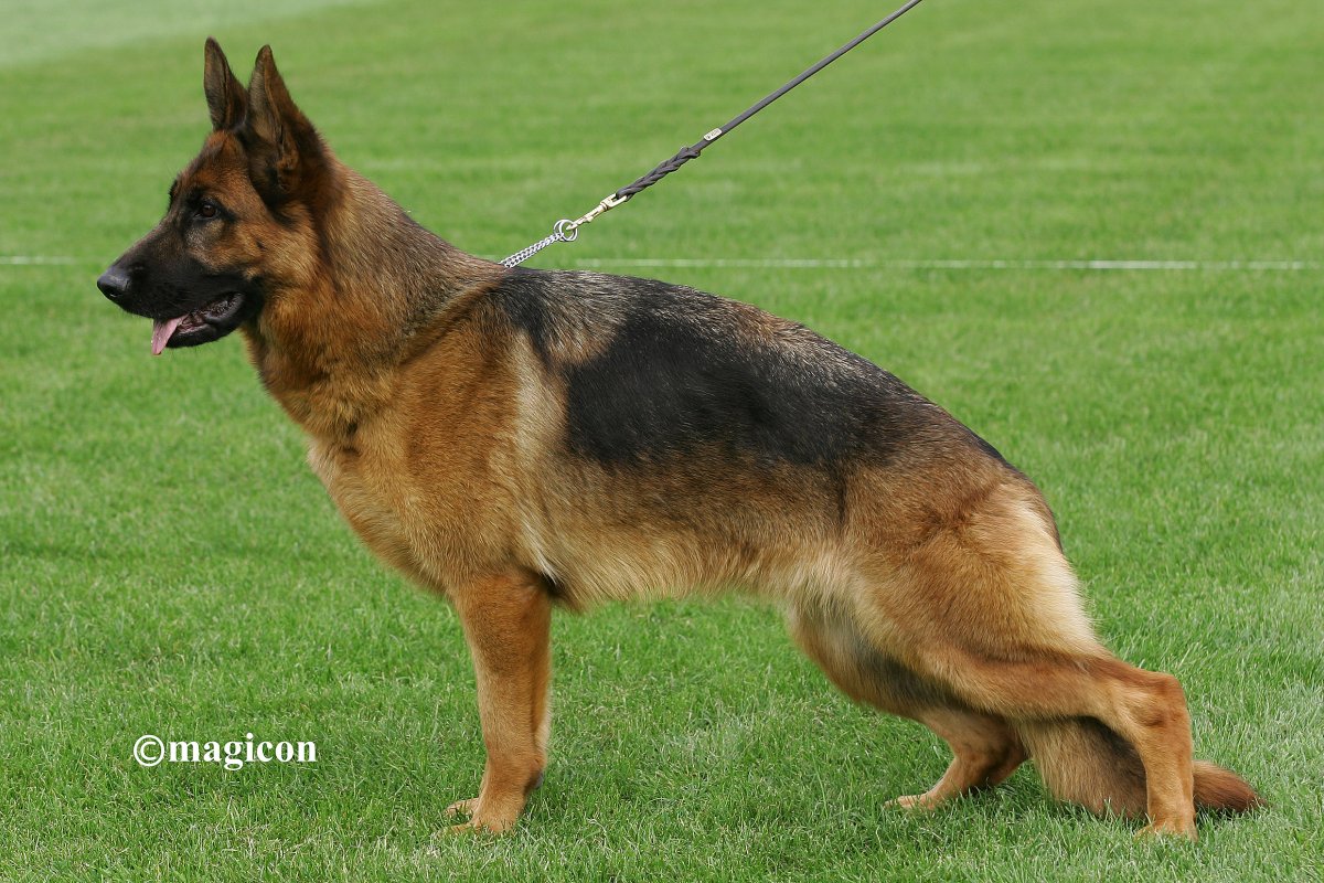 Bella del Vento Margio