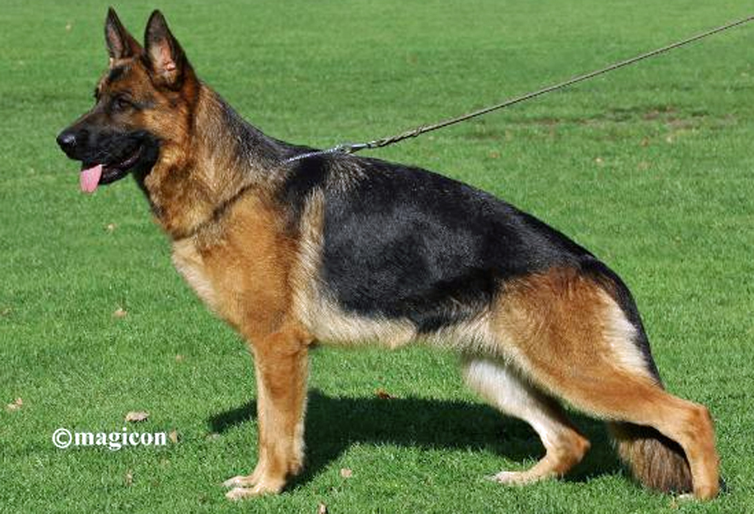 Britta Team Agrigento