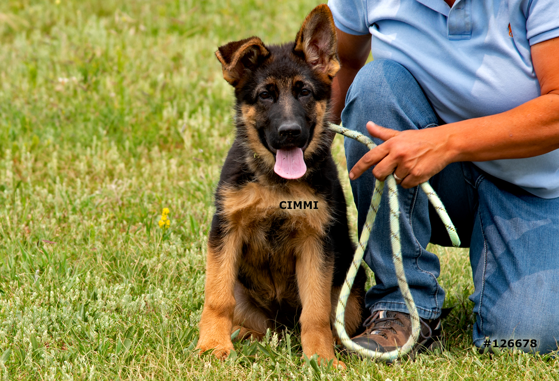 Cinny vom Osterberger-Land