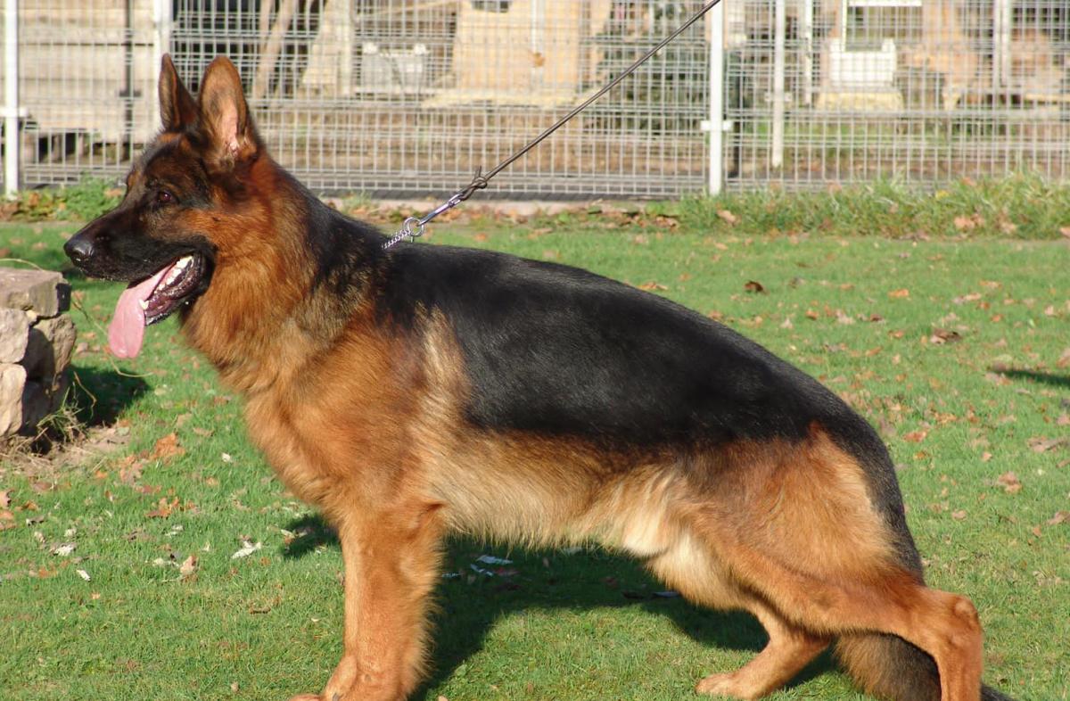 Eragon vom St.-Michaels-Berg