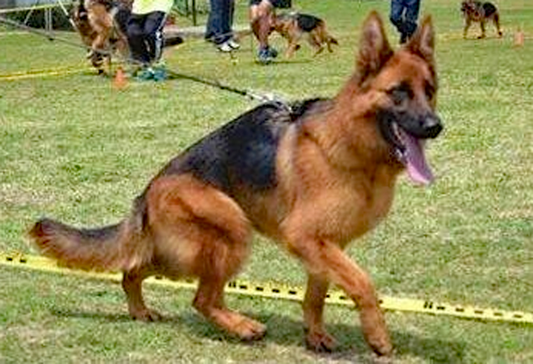 Esmeralda von Tronje