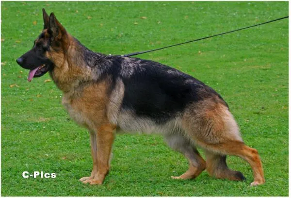 Exe von der Grafschaft Mark