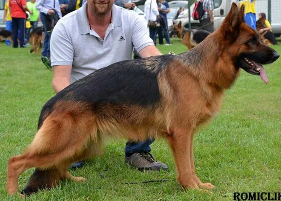 Extra dei Colli Storici