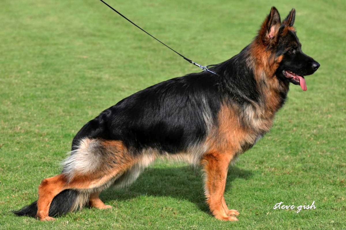 Fabius Team Gigelsfelsen