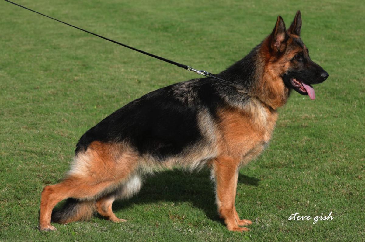 Fatma Team Gigelsfelsen