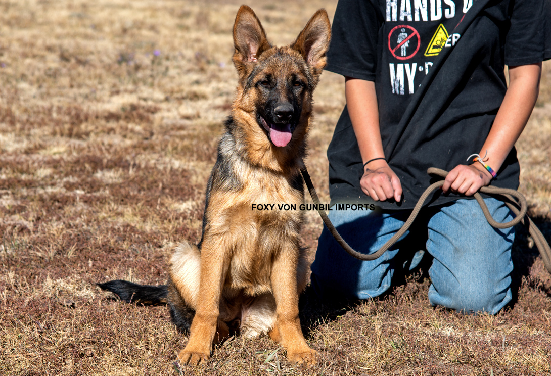Face vom Osterberger-Land