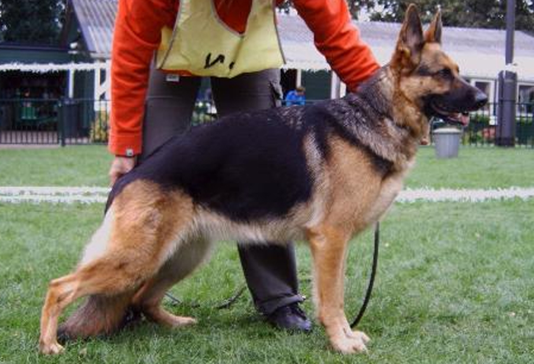 FrÃ¤nzi van Marjonhof