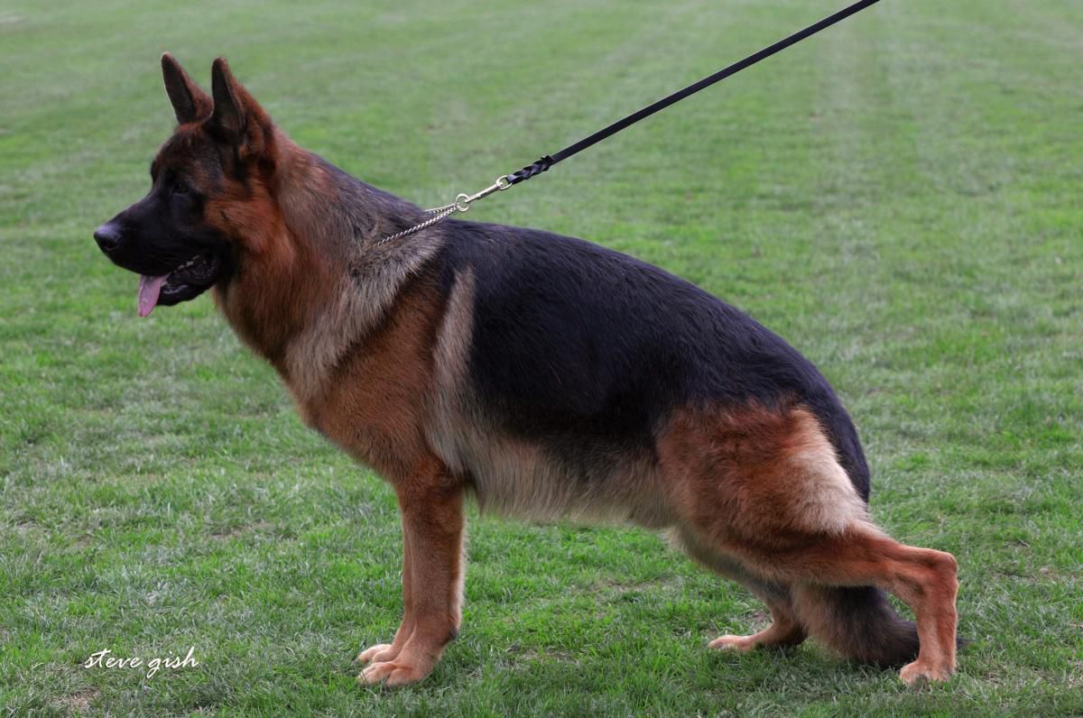 Gondor vom Patersweg