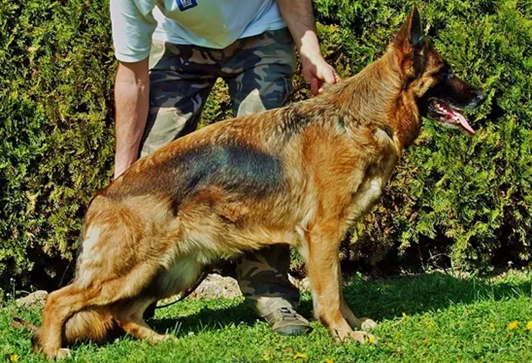 Grappa von Paulgarten