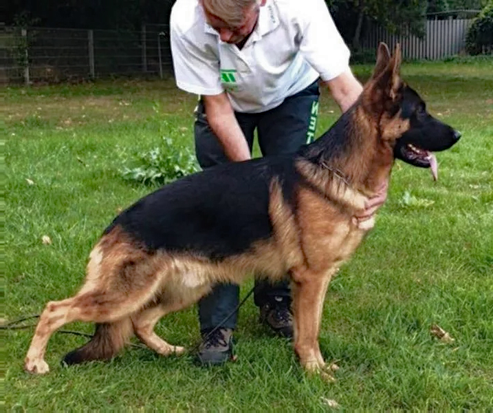 Gunnar vom Emkendorfer Park