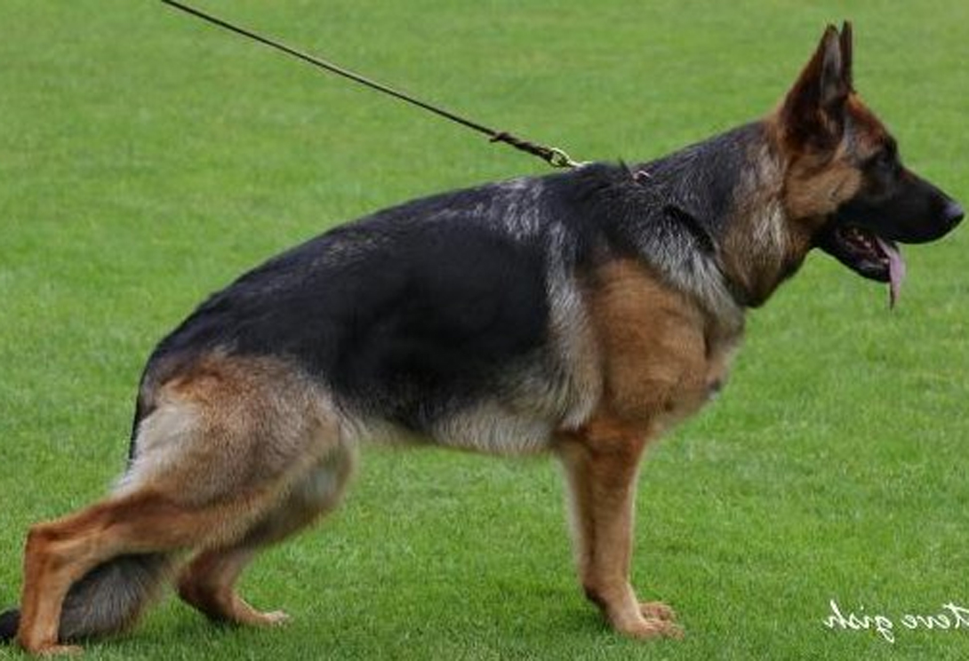 Hela vom Julianenweg