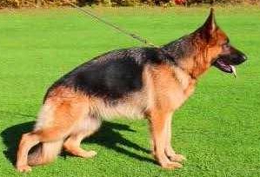 Hope von Annaeus Seneca