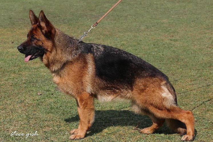 Isadora du Val D'Anzin