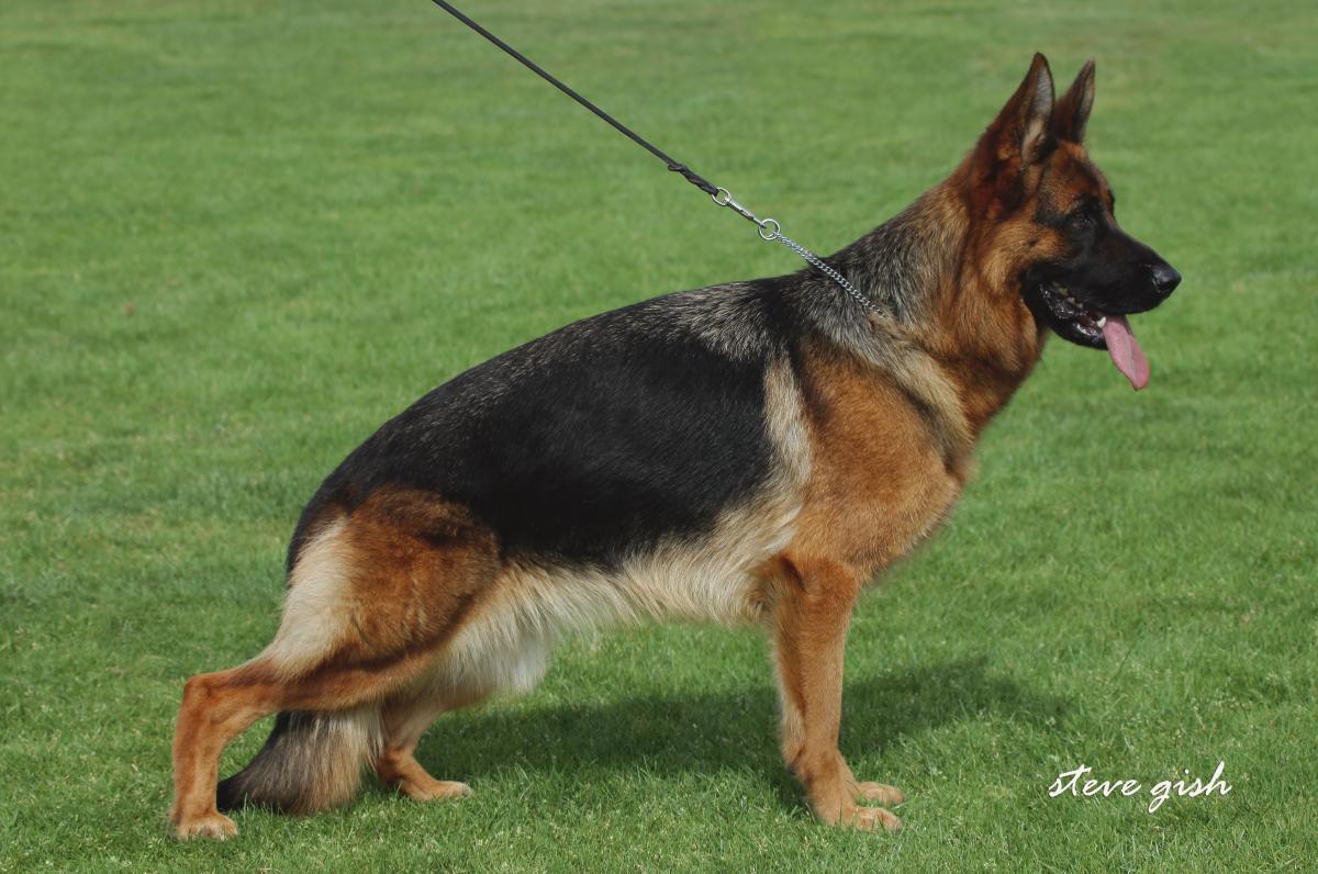 Isar vom Team Huhnegrab