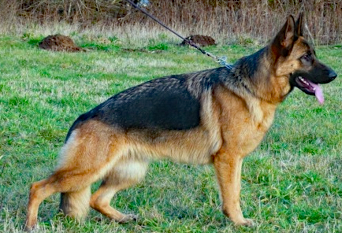 Kamiah Team Marlboro