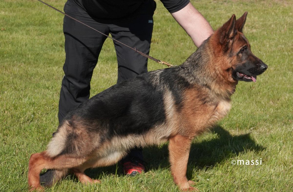 Kethy vom Treuenbrietzener Land