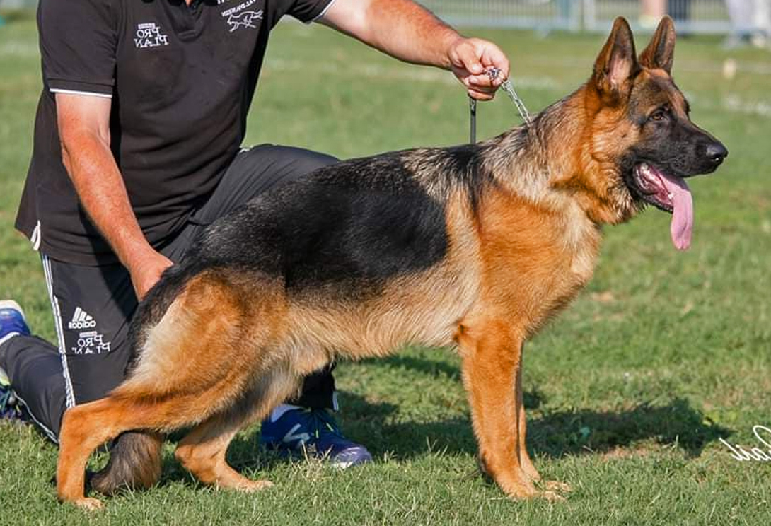 Neymar du Val D'Anzin