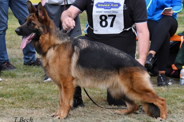 Nirvana du Val D'Anzin