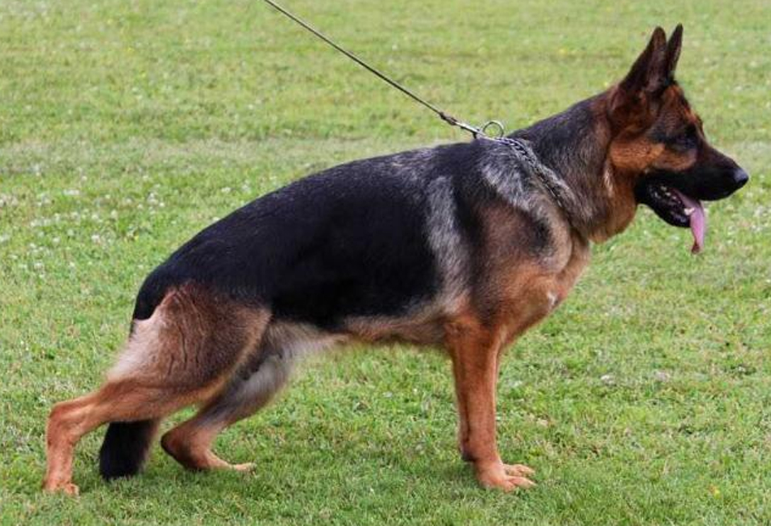 Olympia vom Nordteich