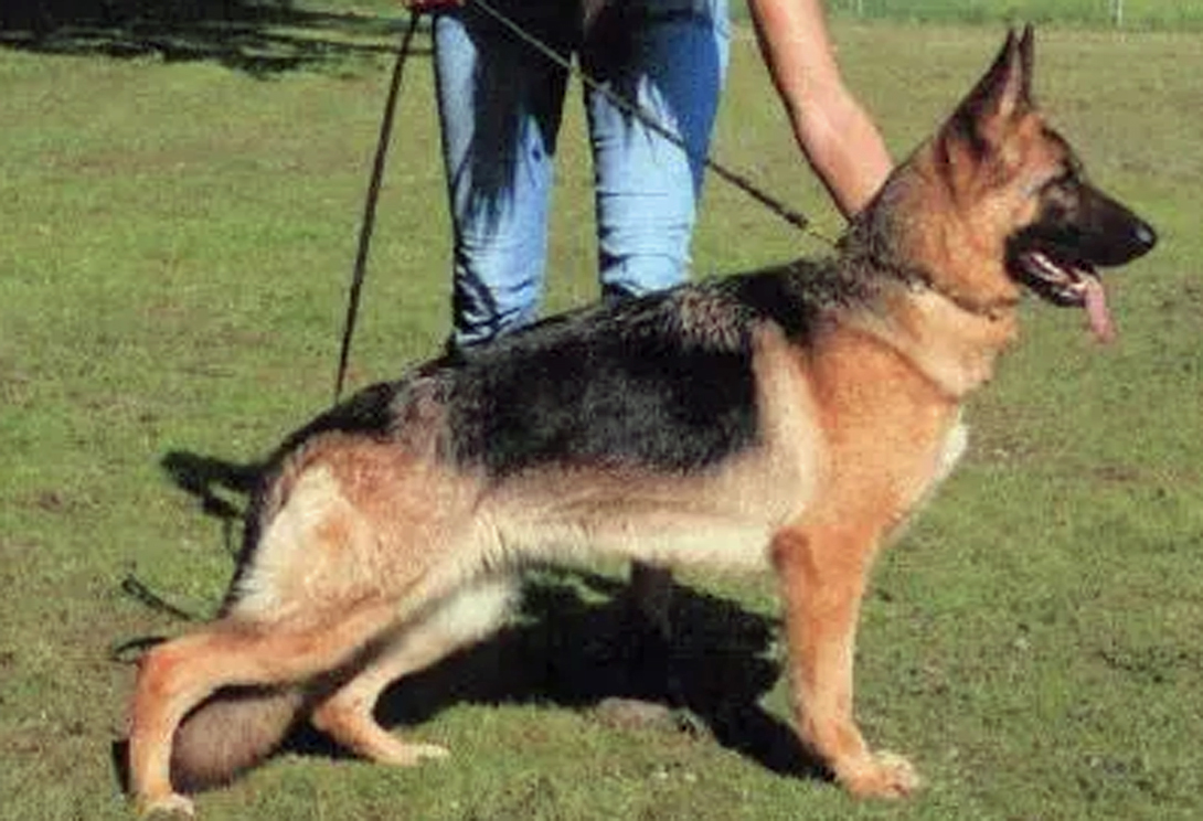 Ora vom SchloÃŸ Weitmar