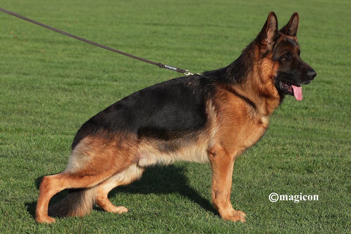 Orbit von Annaeus Seneca