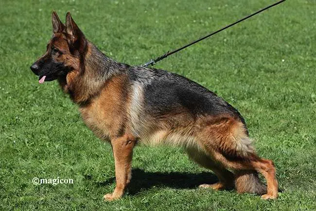 Ornella Muti del Vento Margio