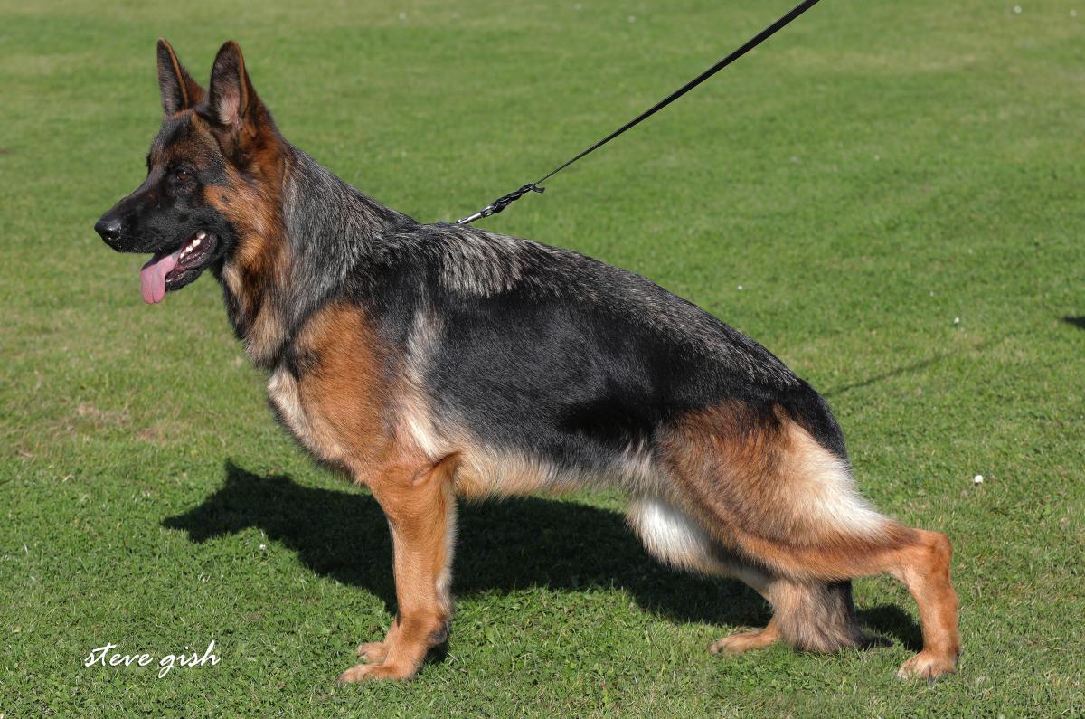 Osana von der Schmiede