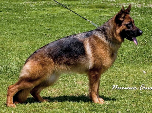 Pia vom Napte-Emmer-Eck