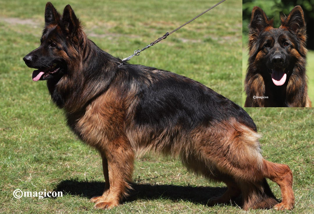 Prada vom Legends Team