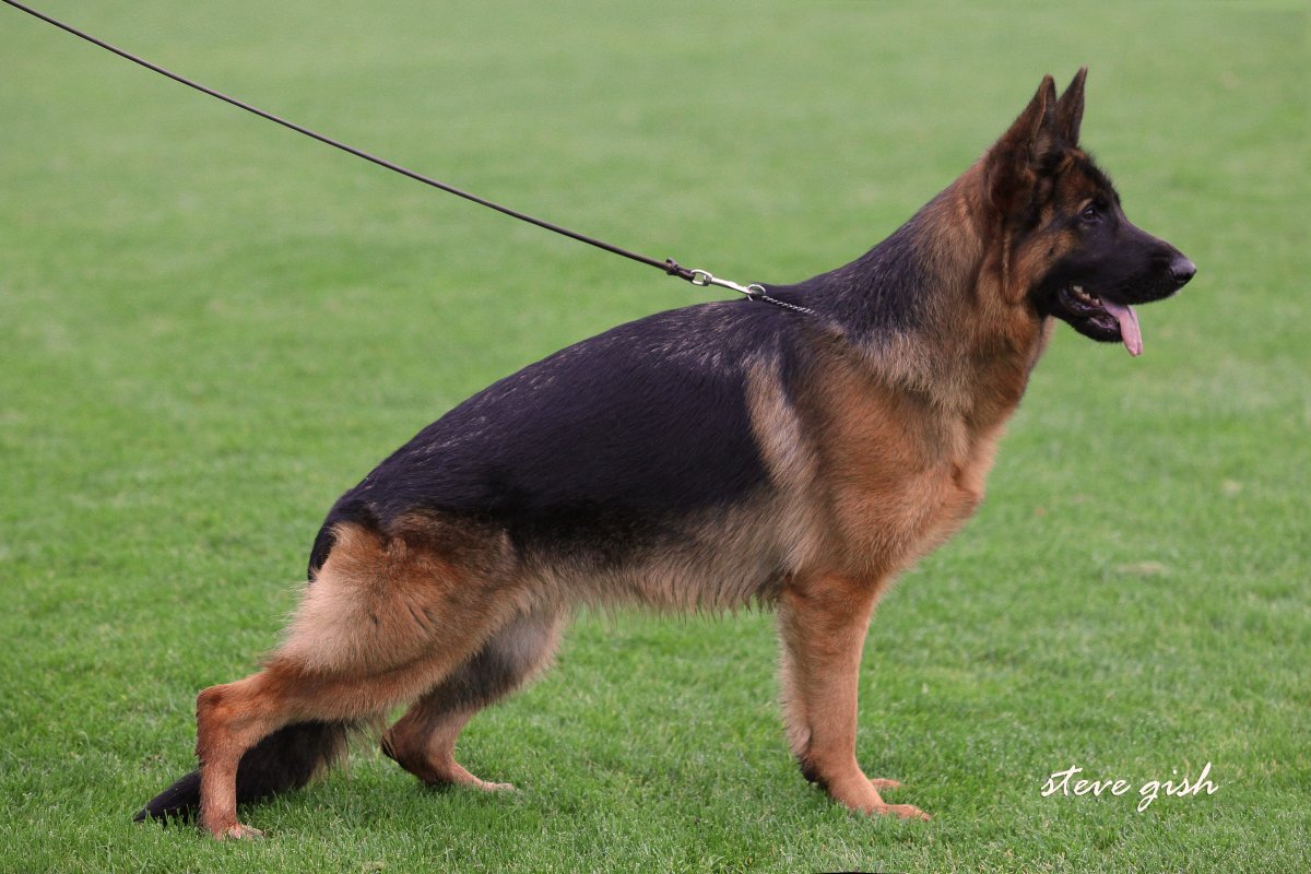 Prada vom Externstein