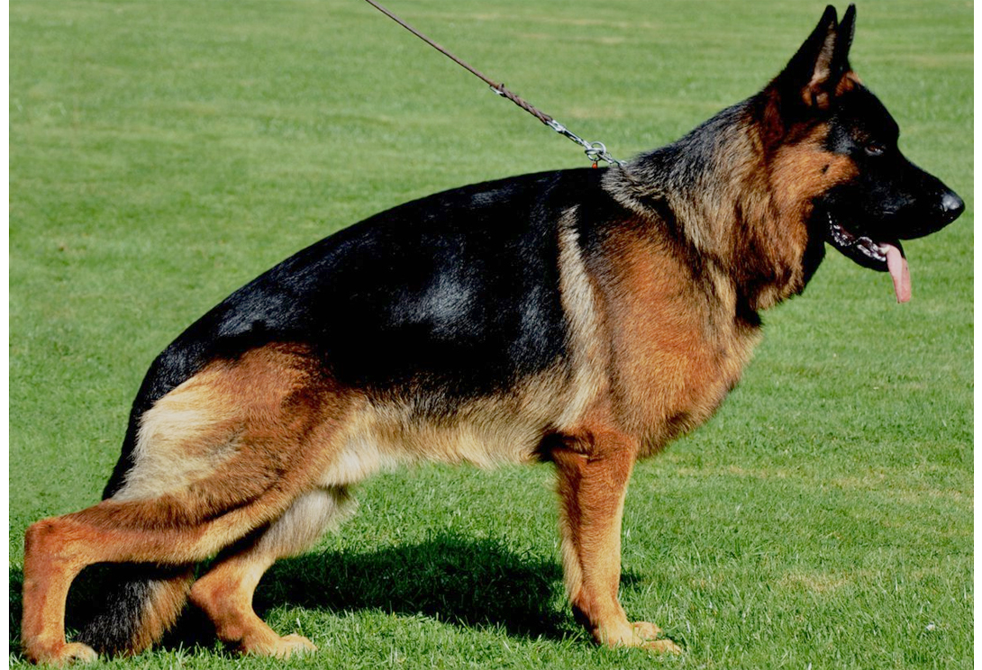 Quirin vom Altenberger Land