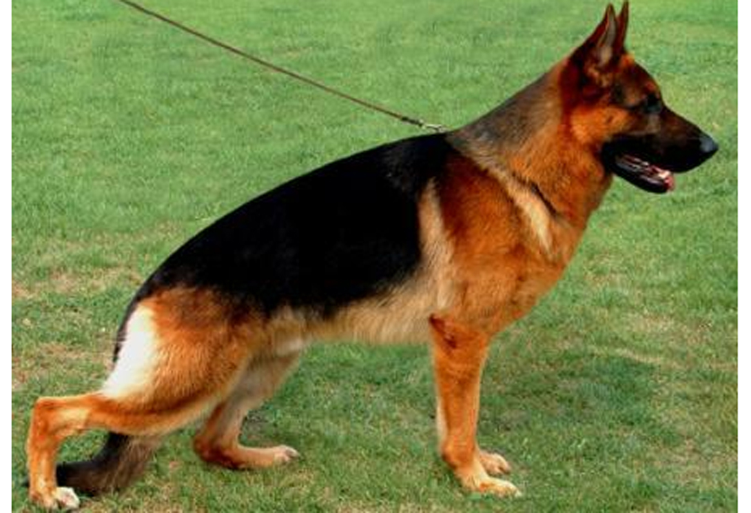 Boy vom TÃ¶nsbrock