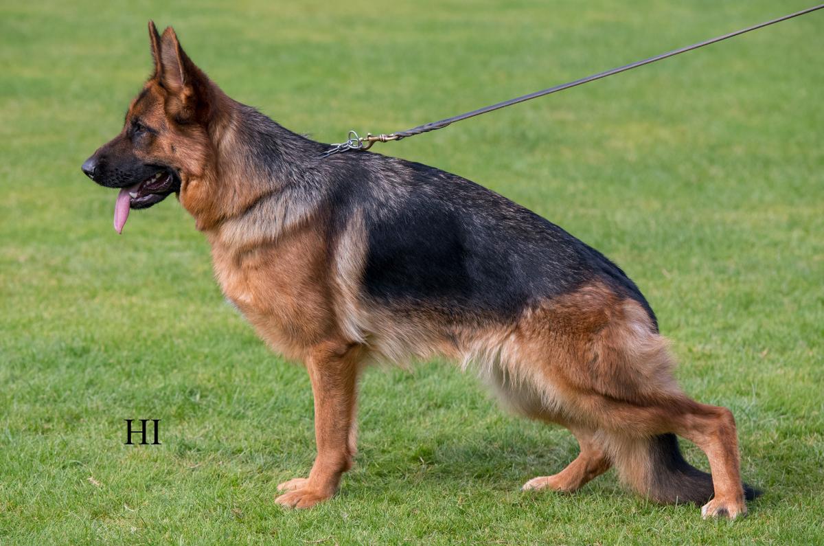 Salma von der Piste Trophe