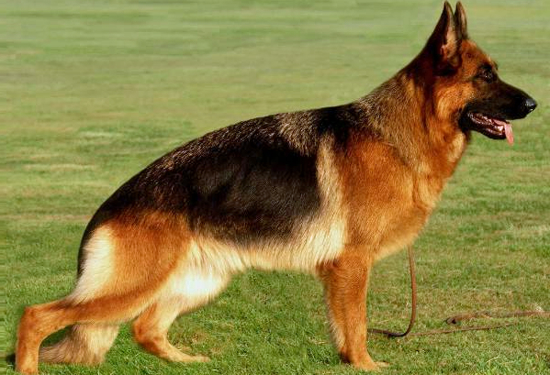 Samira von der Moritzburg