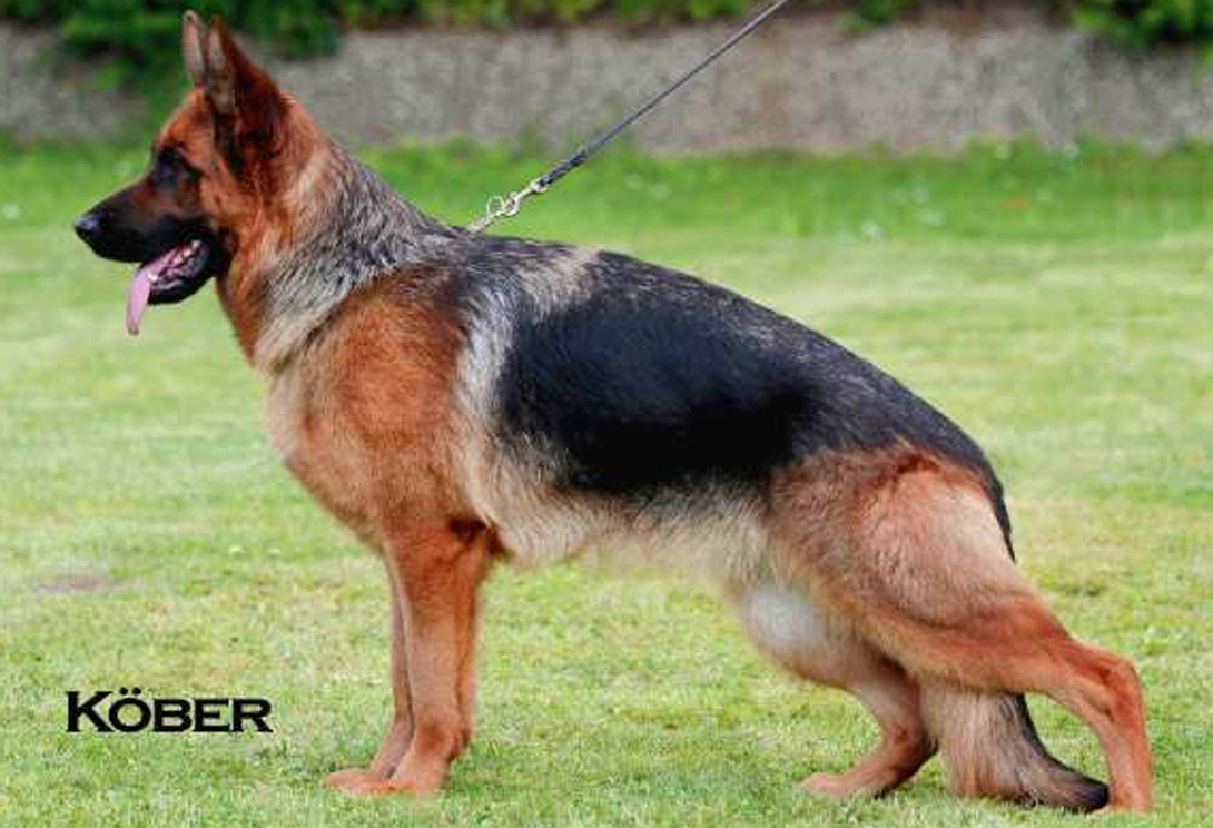 Sira aus Wattenscheid