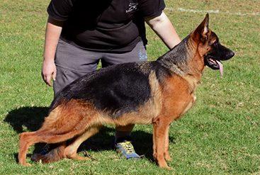 Thora vom Napte-Emmer-Eck