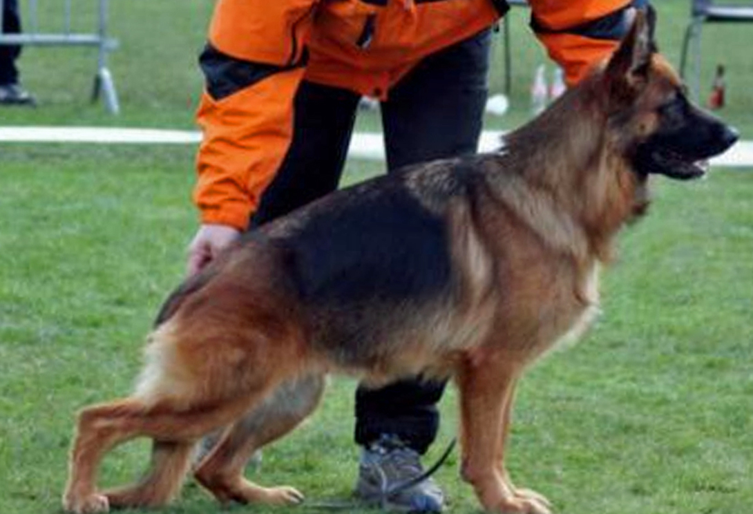 Wendy vom Altenberger Land